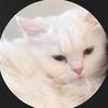 ˚☆ 𝓳𝓪𝔃𝓵𝔂𝓷 ˚☆ - @ibelong2kurtis - TikTok