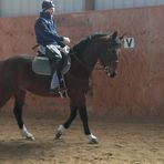 Kurtis May Dressage - Facebook