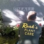 Curtis Small - @small_curtis - Instagram