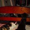 kurtis😂😎 - @kurtiswatts - TikTok