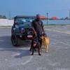 Kwame Jackson - @kj_kennel2 - TikTok