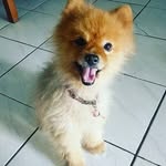 Kwan Song - @kwankwansong - Instagram