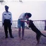 Kwang Ryung  Kim - @kwangryung - Instagram