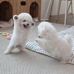 이광륜 - @kwangryunlee - Instagram