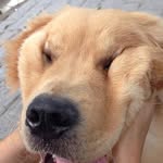 Kwang Sin Kwak - @kwangsin_kwak - Instagram