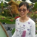 Kwei Chan - @kweichanchan - Instagram