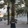 Kwesi Thomas - @kwesithomas1 - TikTok