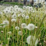 Kwong Wah Chow - @kwongwahchow - Instagram