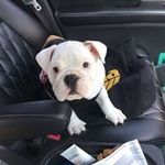 You Kwong Chow - @youkwongchow - Instagram