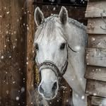 Kya Cooper - @kyacoop - Instagram