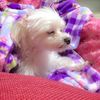 Kyan_bell - @kyan_bell03 - TikTok