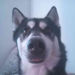 Kye Thompson - Facebook