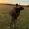 Kye Thompson - @kye.thompson2 - TikTok