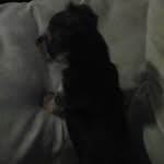 kylaatkinson - @kylaatkinson2006gemil.c - Instagram