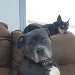Kyla Beard - Facebook