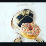 nicole jennings - @kylabeardickson205 - Instagram