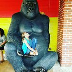 kyla beasley - @kylabear06 - Instagram