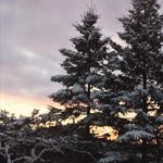 Kyla Cunningham - @kyla_photography2021 - Instagram