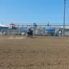KYLA 🐎🛢 - @kylajdunn1 - TikTok