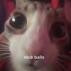 kyla.george - @kyla.george - TikTok