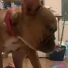 kylaharding935 - @kylaharding935 - TikTok