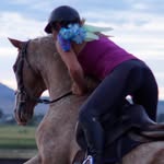 Kyla Howard - @kyla_howard_equestrian_trainer - Instagram