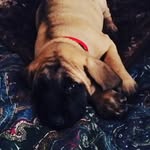 Kyla Kemp - @kylakemp855 - Instagram