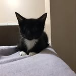 Kyla Sims - @ilovekitties927 - Instagram