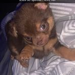 Kyla Sims - Facebook