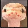 kyla - @kylatorres16 - TikTok