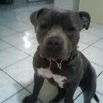 Kyla Torres - @kyla_torres_2004 - Instagram