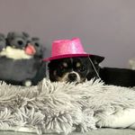 kyla - @_kyla.west - Instagram