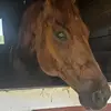 kylawise - @kylawise - TikTok