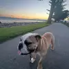 kylah_williams_ - @kylah_williams_ - TikTok