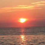 Kyle Abbott - @kyle_r_abbott - Instagram