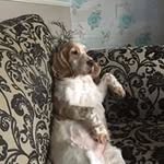 Kyle Abell - @speedybuddys - Instagram