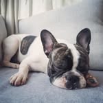 Kyle - @kyle_acheson_ - Instagram