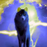 Kyle ammons - @wolfmaster_yt - Instagram