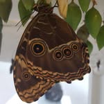 Kyle Artz - @kyleartz - Instagram