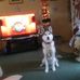 Kyle Avery - Facebook