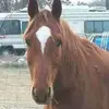 Kyle Ballou - @kyleballou - TikTok