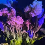 Kyle Bang - @kylebang75 - Instagram