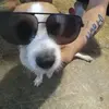 Kyle Bardin - @kyle.bardin - TikTok