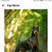 Kyle Barends - Facebook