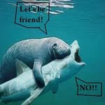 Kyle Barfield - @z.ky13 - Instagram