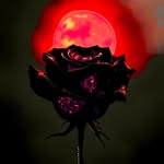 Kyle J Slaven - @kyle_barras - Instagram