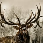 Kyle Bartel - @outdoorstyle49 - Instagram