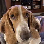Kyle Baugh - @kylebaugh - Instagram