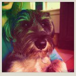 Kyle Baugher - @kyle_baugher - Instagram