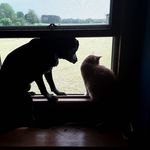 Kyle Bauman - @kyle.bauman.50115 - Instagram